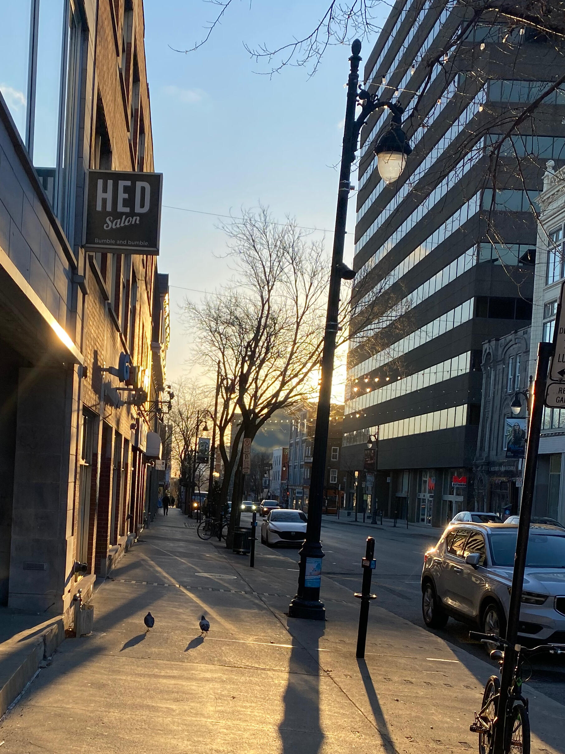 Vue du quartier autour du salon sur le Plateau